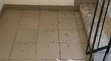 Установить/подключить стиральную машину