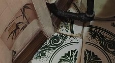 Установить стиральную машину