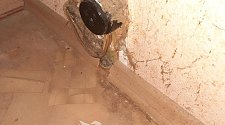Установить электроплиту