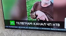 Работа